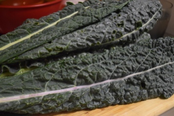 Kale Leaves